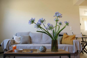 Aretis St Apartment